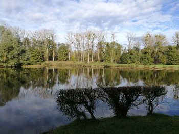 Scenic view of lake by trees against sky