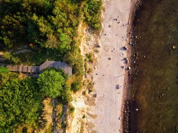 High angle view of road amidst trees