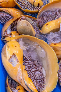 Close-up of fish for sale in market