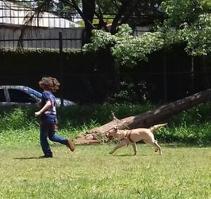 Full length of boy holding horse