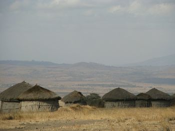 Traditional acholi houses in field