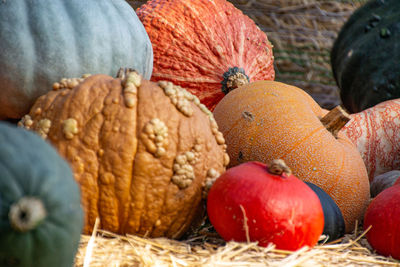 Close-up of pumpkins in market