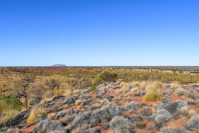 Scenic view of field against clear blue sky