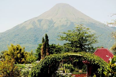 Scenic view of tree mountains against clear sky