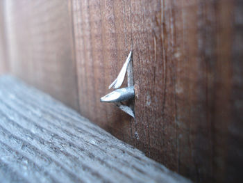 Close-up of wooden plank