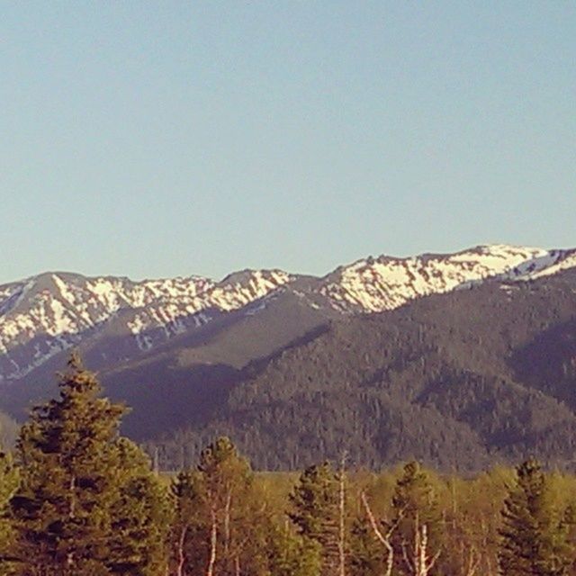 mountain, clear sky, mountain range, copy space, tranquil scene, tranquility, scenics, beauty in nature, landscape, nature, non-urban scene, blue, idyllic, snowcapped mountain, winter, snow, tree, outdoors, no people, majestic