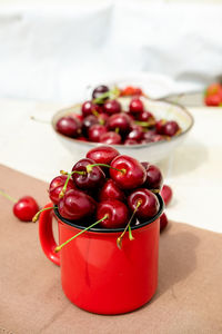 Close-up of tomatoes on table