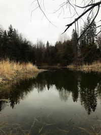 Scenic view of lake against sky