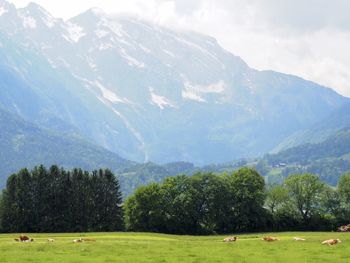 Scenic view of landscape and mountains against sky