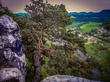 Scenic view of trees and mountains against sky