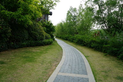 Empty road amidst trees against sky