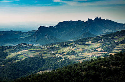 Scenic view of agricultural landscape against sky