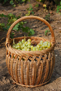 High angle view of fruits in basket