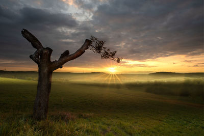 Scenic view of field against sky during sunset