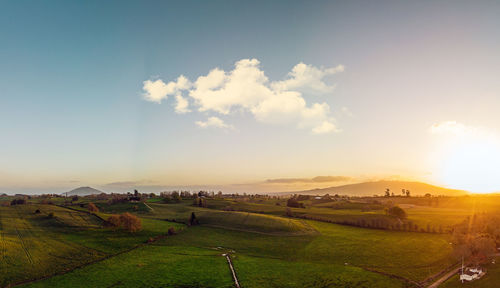 Scenic view of agricultural field against sky