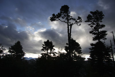 Low angle view of silhouette trees against sky during sunset