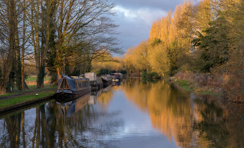 Boats moored with trees reflection in grand union canal against sky