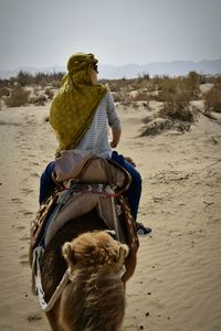 Rear view of woman riding horse