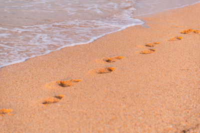 Close-up of sand at beach