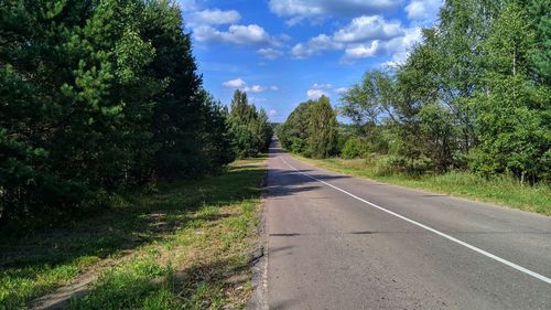 Empty road along trees and plants