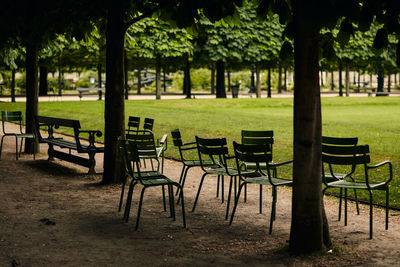 Green chairs in paris park