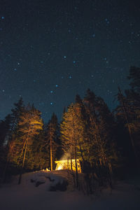 Trees on snow covered land against sky at night