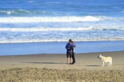 Rear view of dog on beach