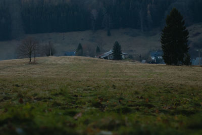 Scenic view of landscape against sky at night