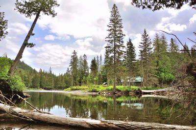 Scenic view of lake and trees against sky