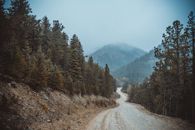 Empty road amidst trees in forest against clear sky