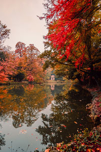 Reflection of trees in lake during autumn