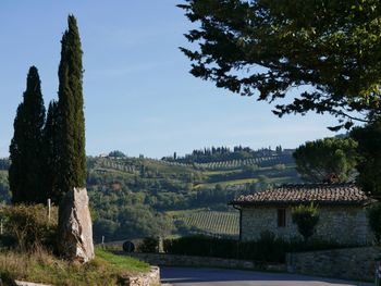 Scenic view of trees and buildings against sky