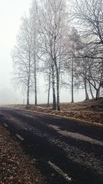 Bare trees on landscape against clear sky