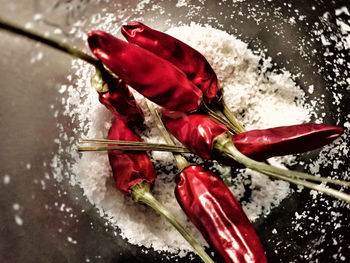 Close-up of red chili peppers in container