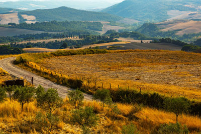 Scenic view of landscape