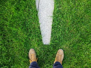 Low section of man standing on grass