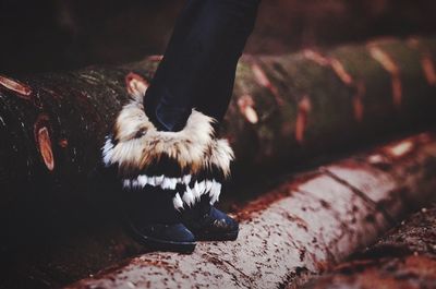 Low section of woman wearing fur boot standing on log