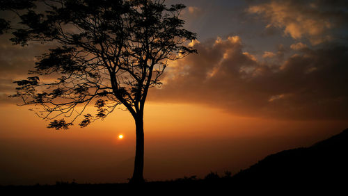 Silhouette tree against romantic sky at sunset