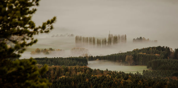 Panoramic shot of trees on landscape against sky