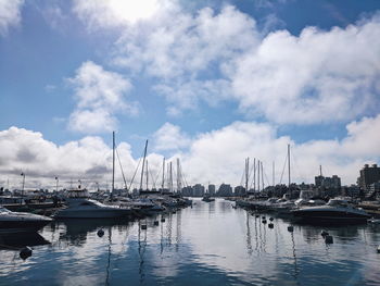 Sailboats moored in harbor