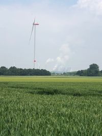 Scenic view of agricultural field against sky