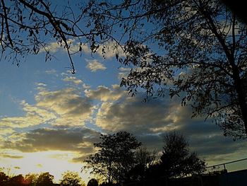Low angle view of bare trees against cloudy sky