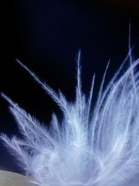 Close-up of blue sky at night