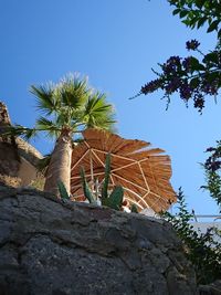 Low angle view of palm tree against clear blue sky