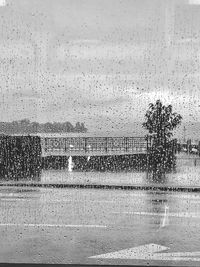 Close-up of wet tree against sky