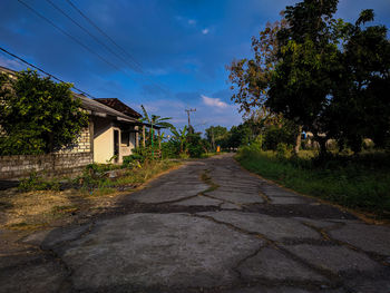 Road amidst trees and buildings against sky