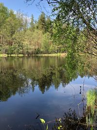 Reflection of trees in lake against sky