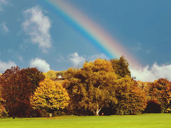 Trees on field against sky