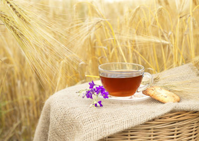 Close-up of tea served on table in field