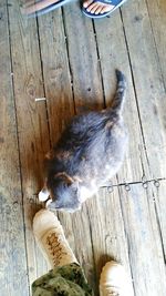 Close-up of wooden plank